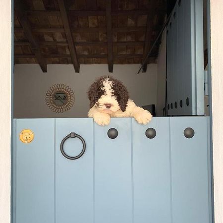 La Puerta Azul Villa Bornos Kültér fotó