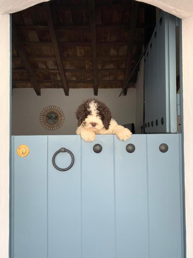 La Puerta Azul Villa Bornos Kültér fotó