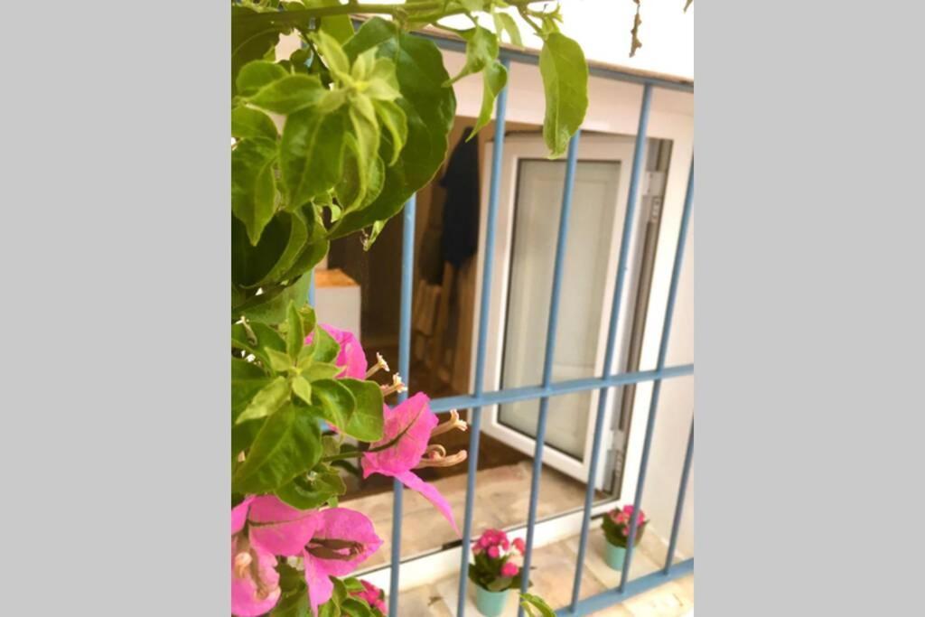 La Puerta Azul Villa Bornos Kültér fotó