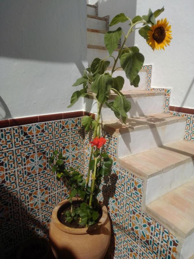 La Puerta Azul Villa Bornos Kültér fotó