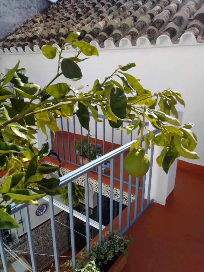 La Puerta Azul Villa Bornos Kültér fotó